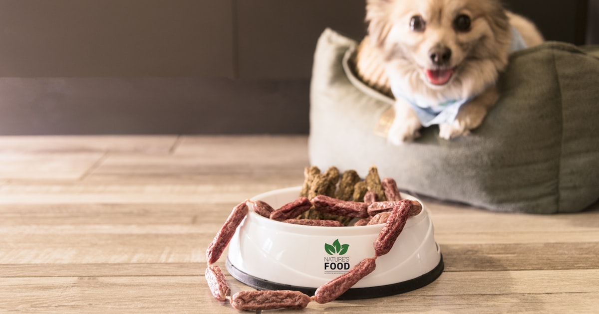 Dog food topper in Chennai – Canine Crown